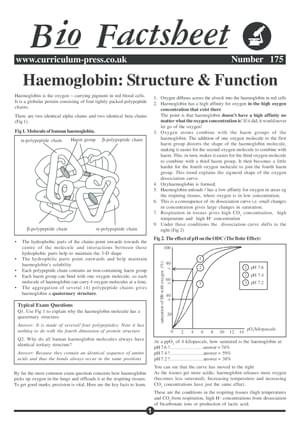 175 Haemoglobin Struc Func