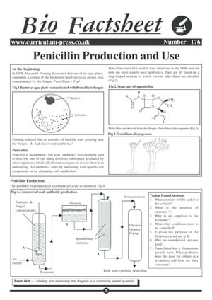 176 Penicillin Production