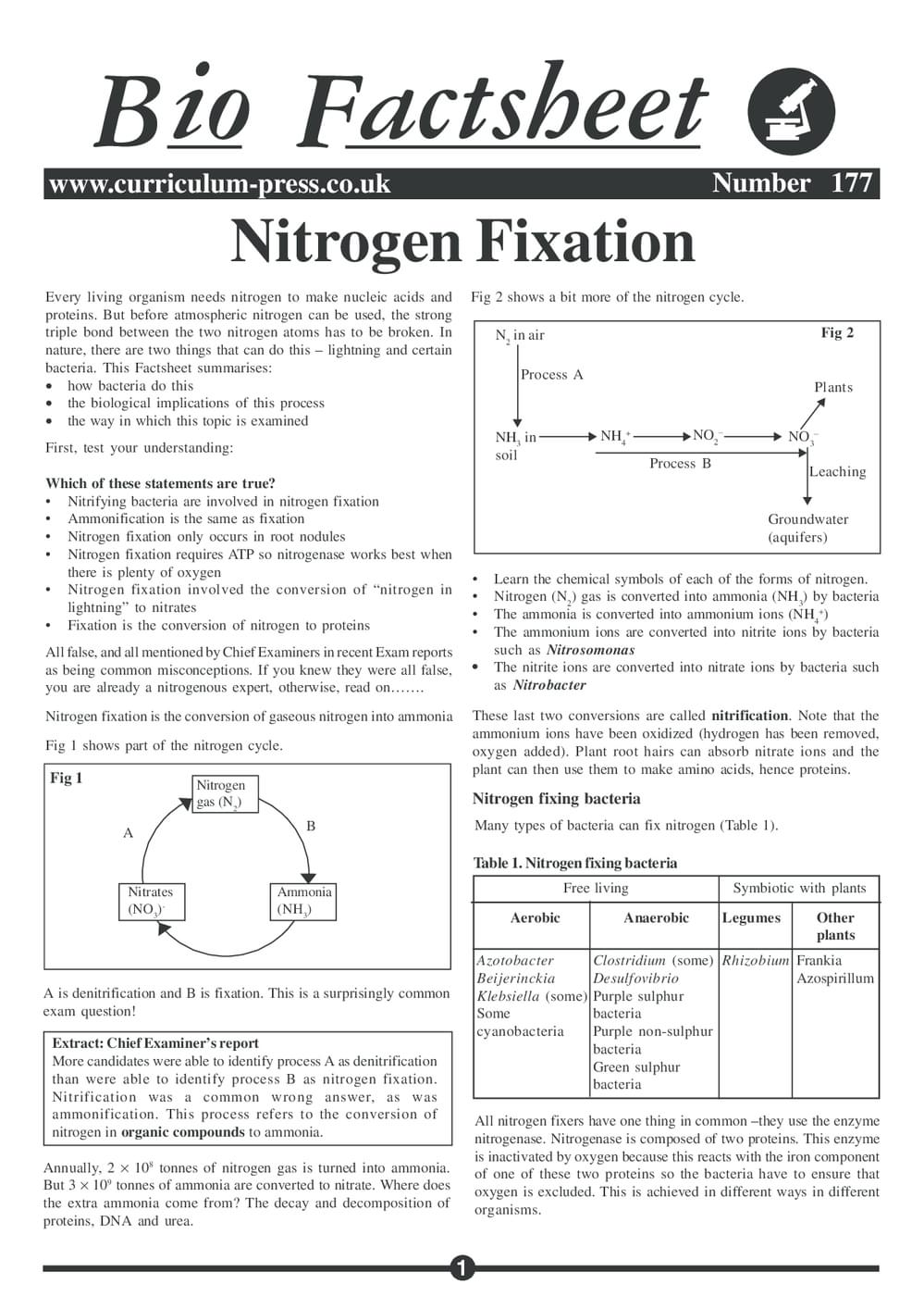 177 Nitrogen Fixation