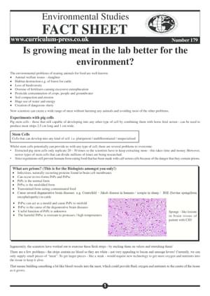 179 Culturing Meat In The Lab