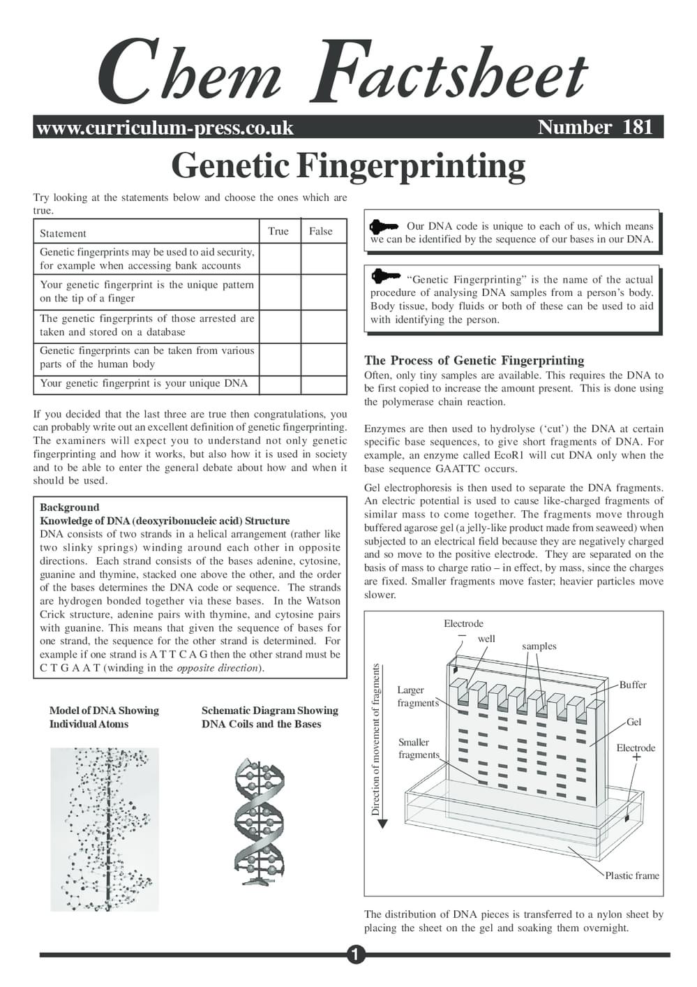 181 Genetic Fingerprint