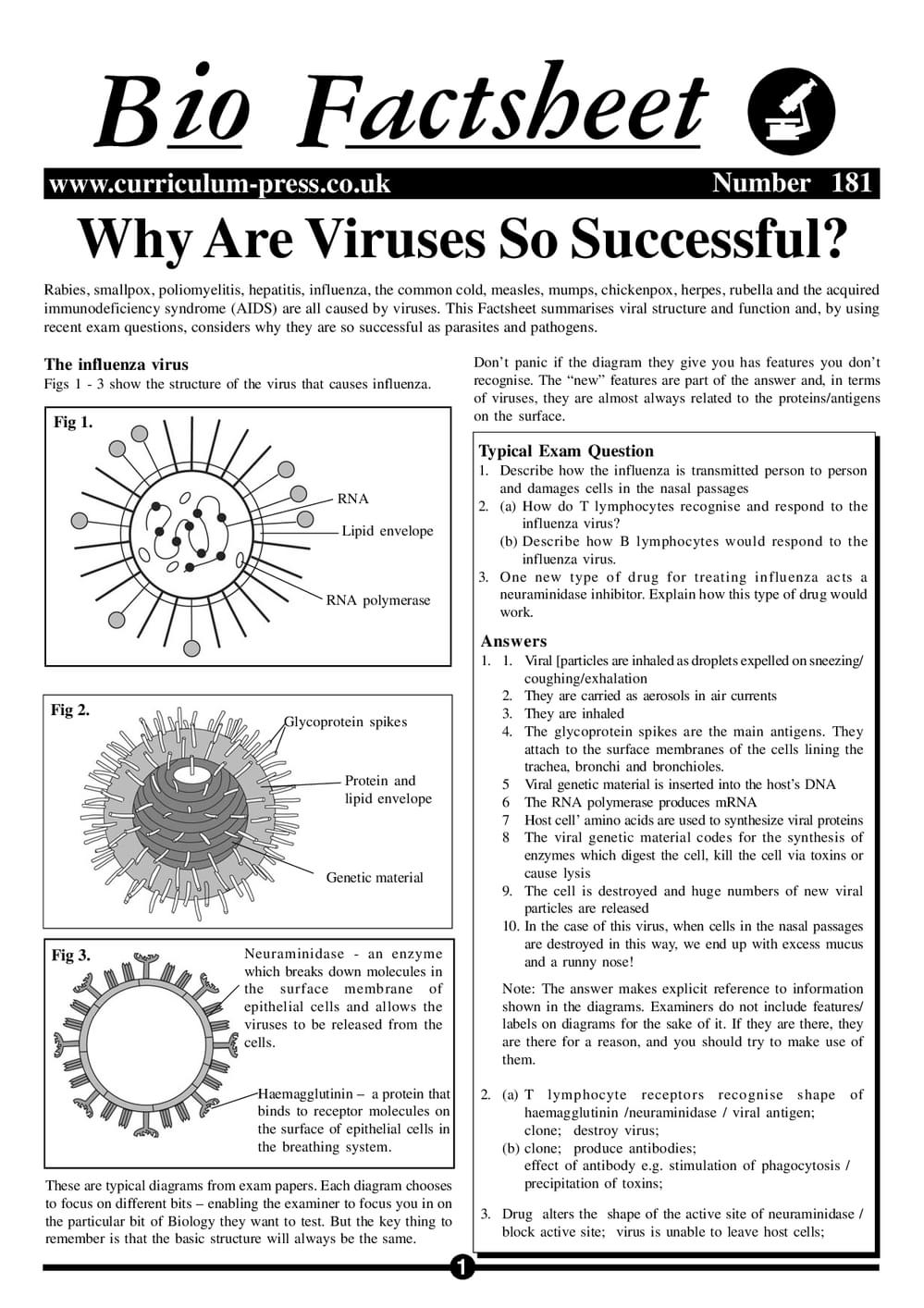 181 Viruses So Successful