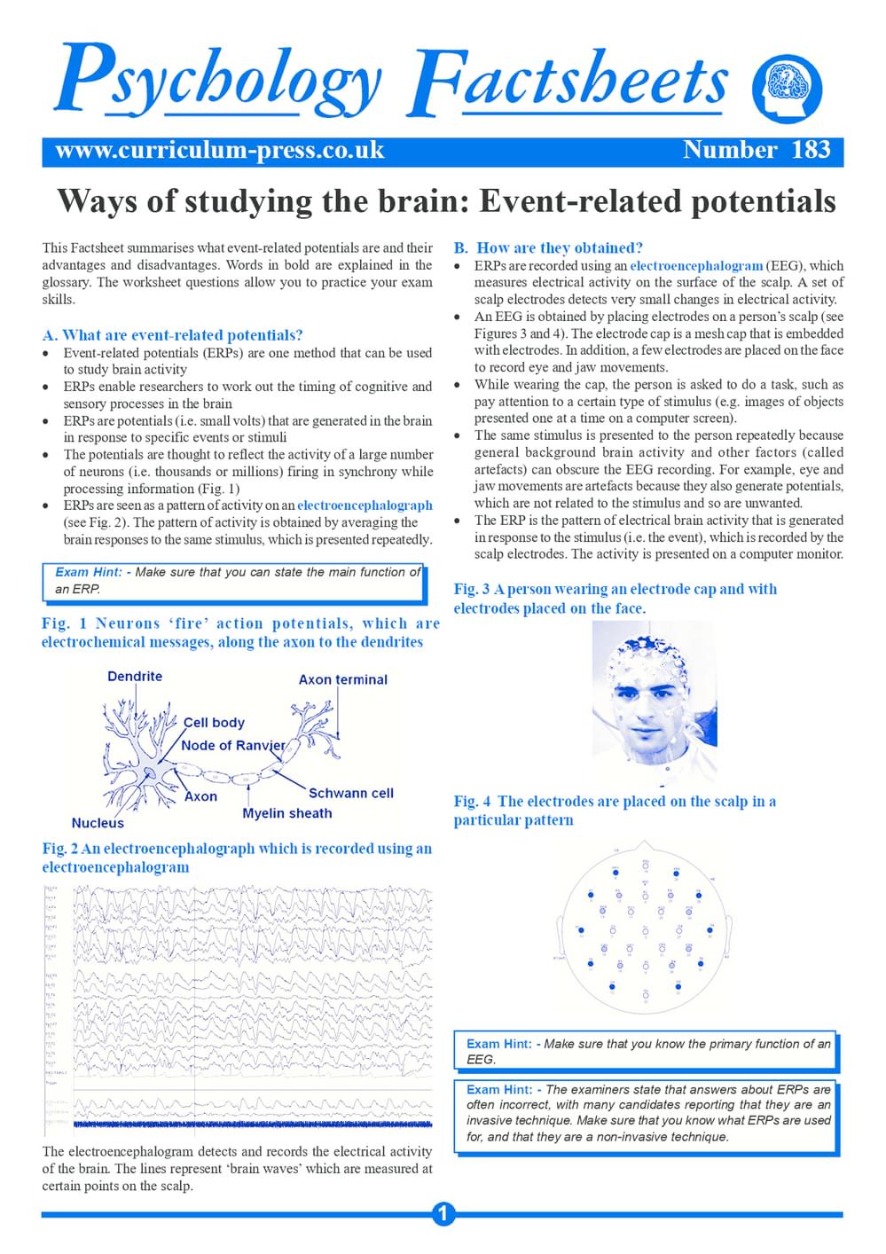183 Ways Of Studying The Brain