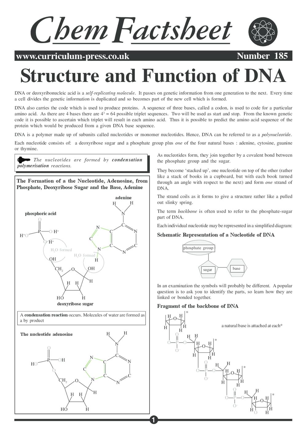 Dna Fact File Structure and Function of DNA - Curriculum Press