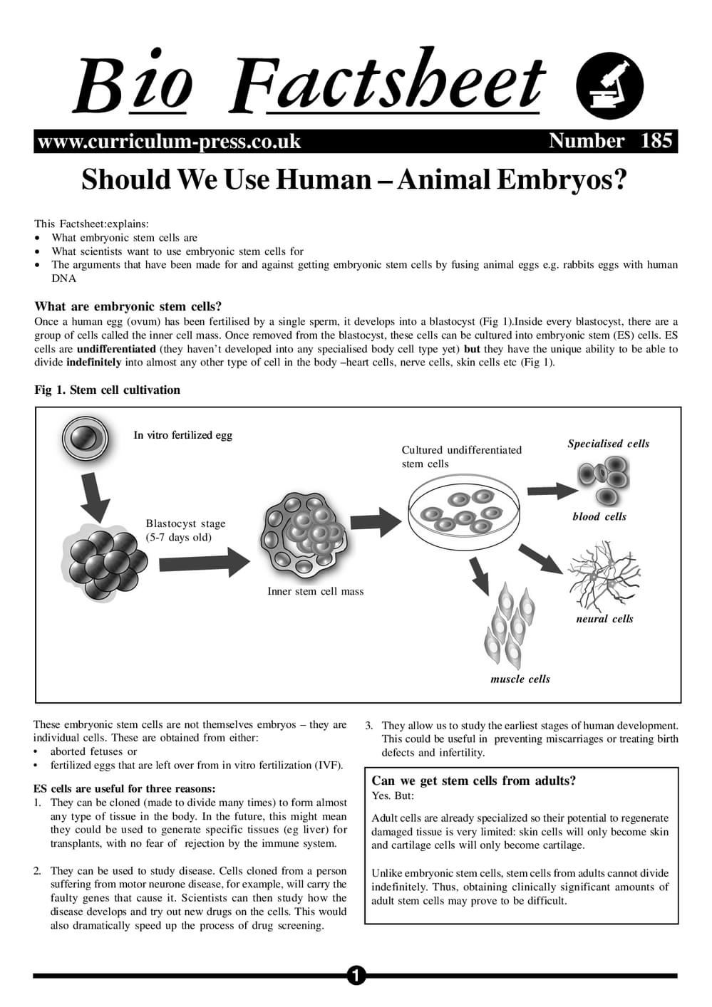 185 Use Human Animal Embryos