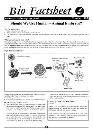 185 Use Human Animal Embryos