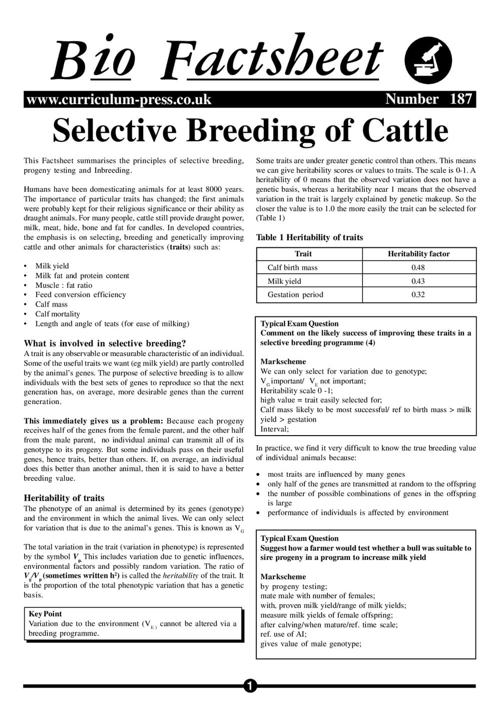 Selective Breeding Worksheet.pdf Selective Breeding of Cattle - Curriculum Press