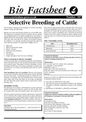 187 Select Cattle Breeding