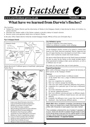 191 Darwins Finches