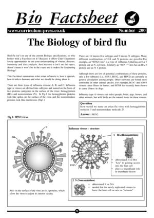 200 Bio Of Bird Flu