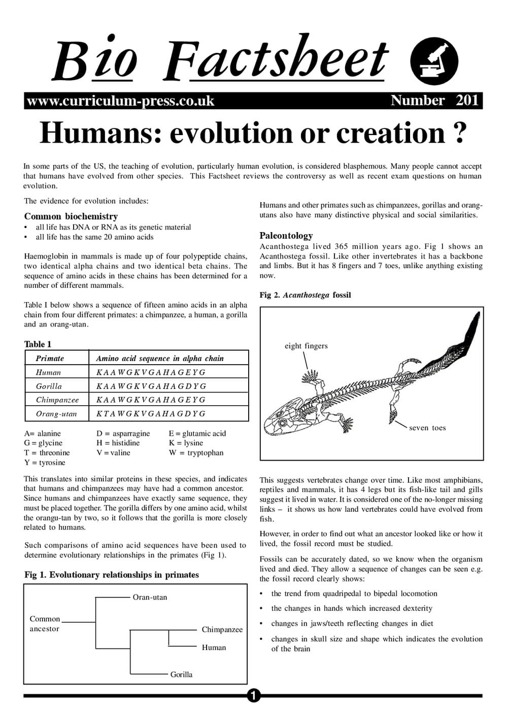 201 Humans Evolut Creation