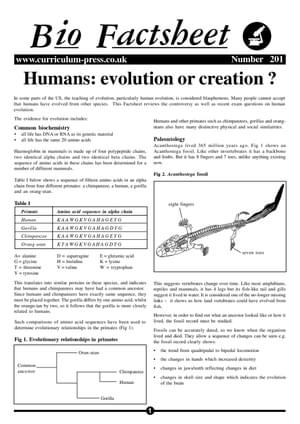 201 Humans Evolut Creation