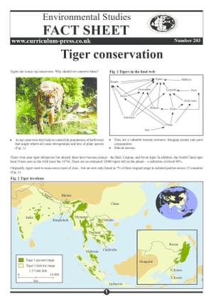 203 Tiger Conservation