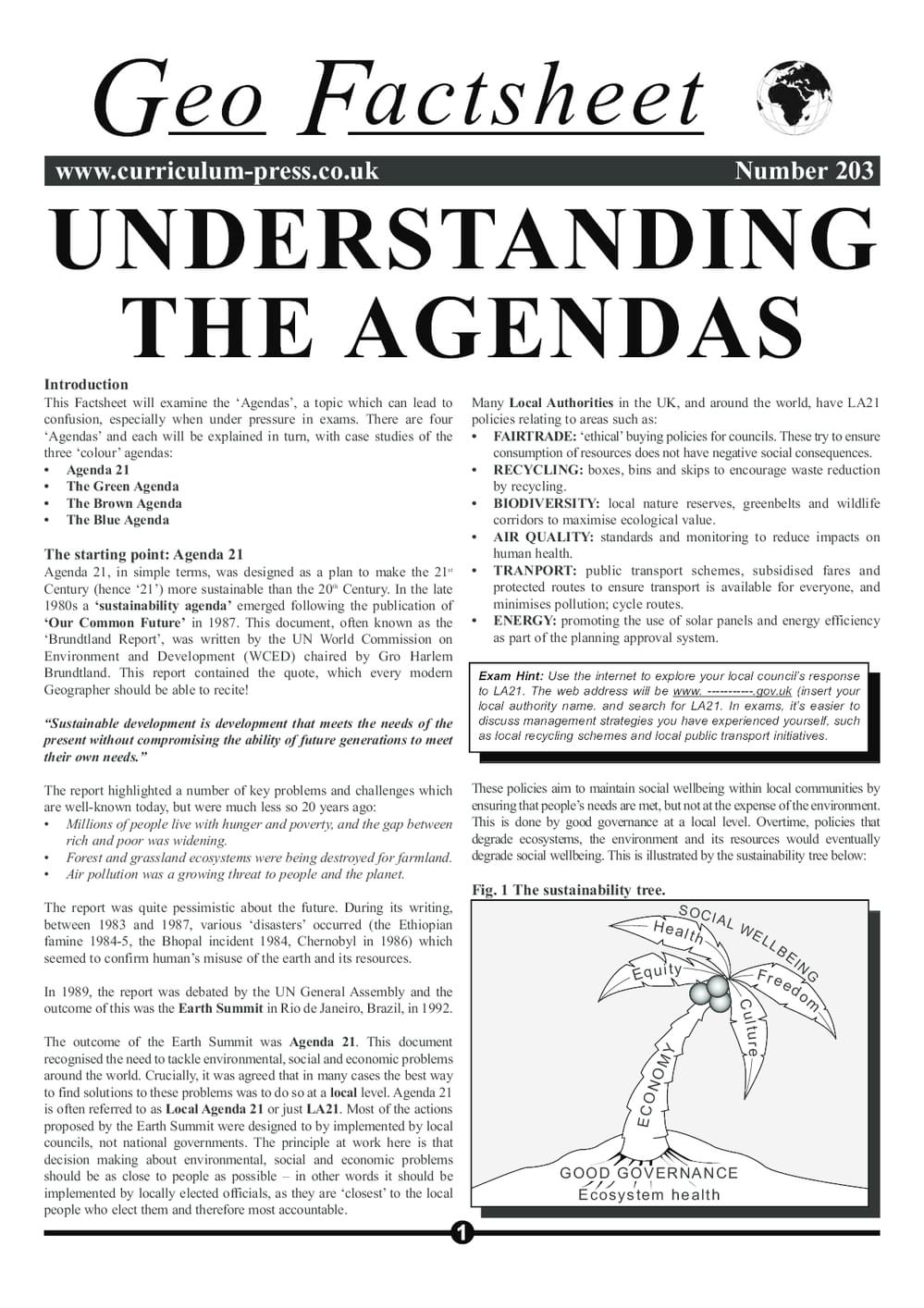203 Understanding Agendas