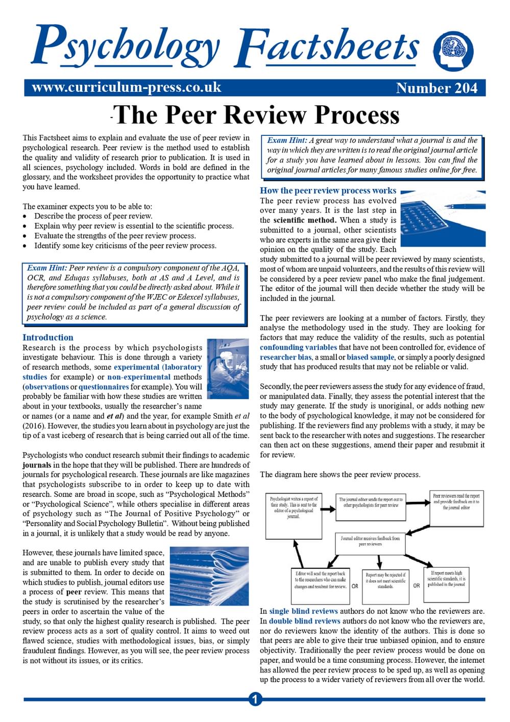 204 The Peer Review Process