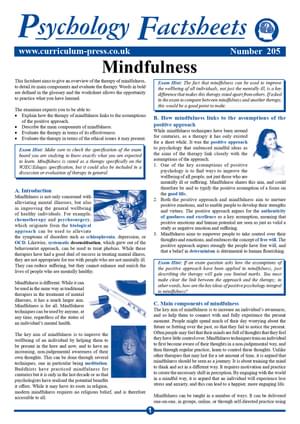 205 Mindfulness