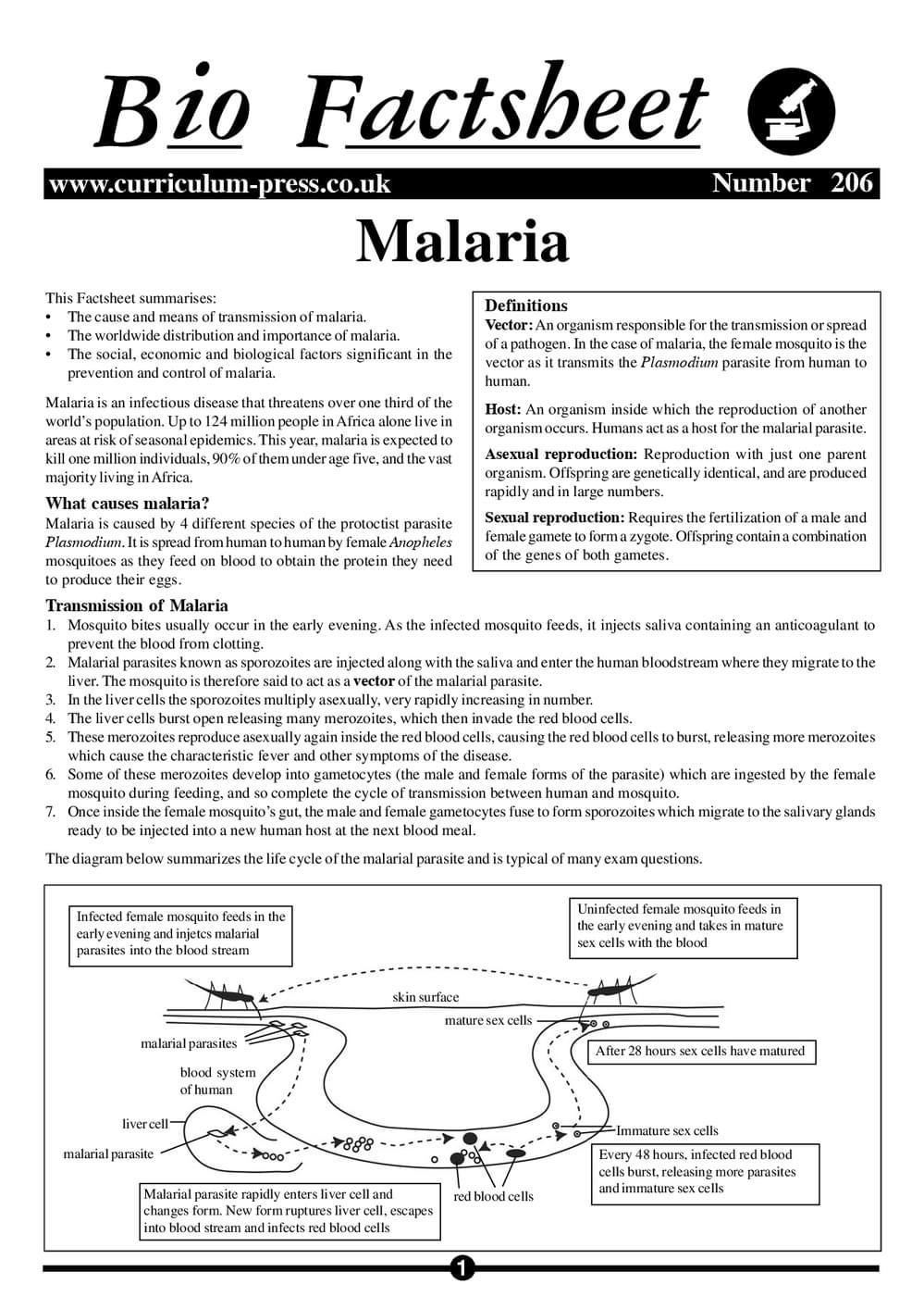 206 Malaria