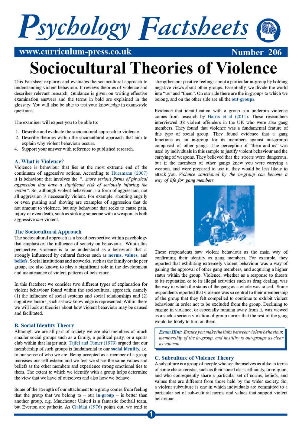206 Sociocultural Theories Of Violence