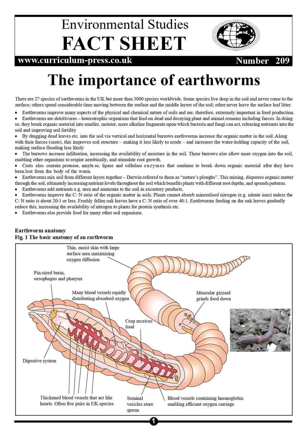 209 The Importance Of Earthworms
