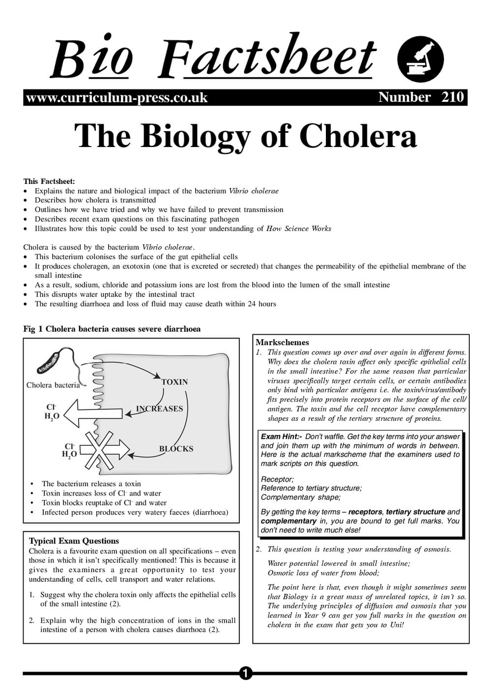 210 Biology Of Cholera
