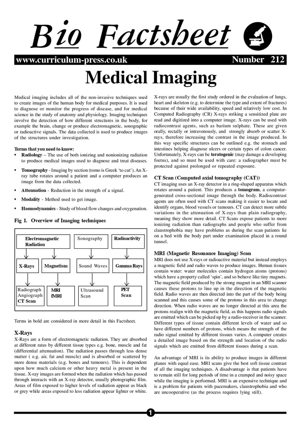 Medical Imaging Guide.pdf Medical Imaging - Curriculum Press