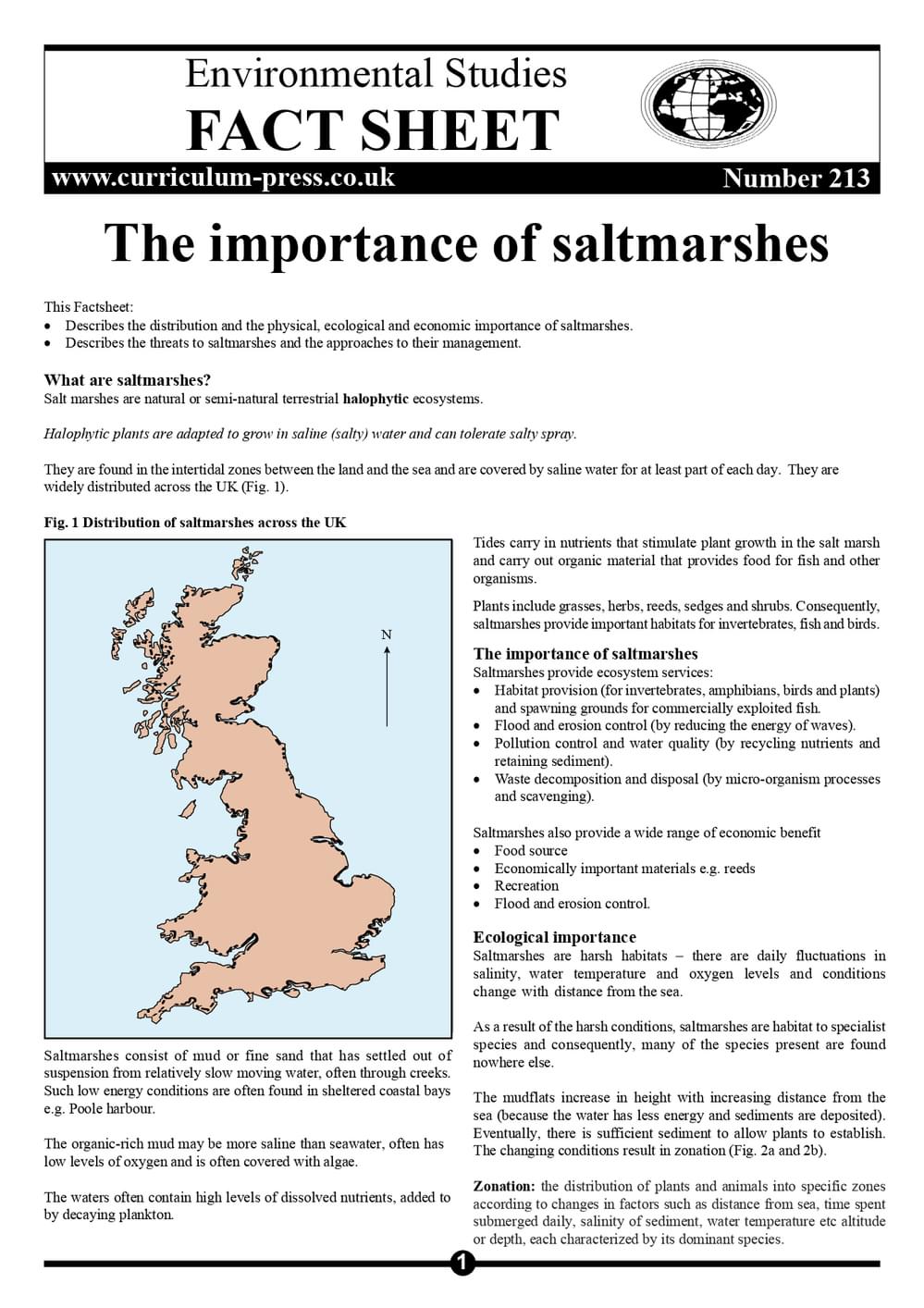 213 The Importance Of Saltmarshes