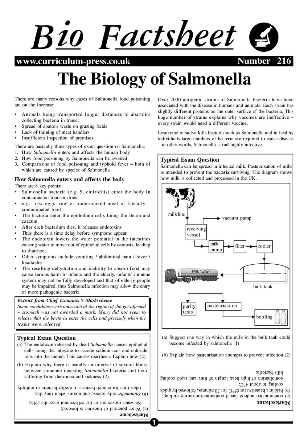 216 Salmonella