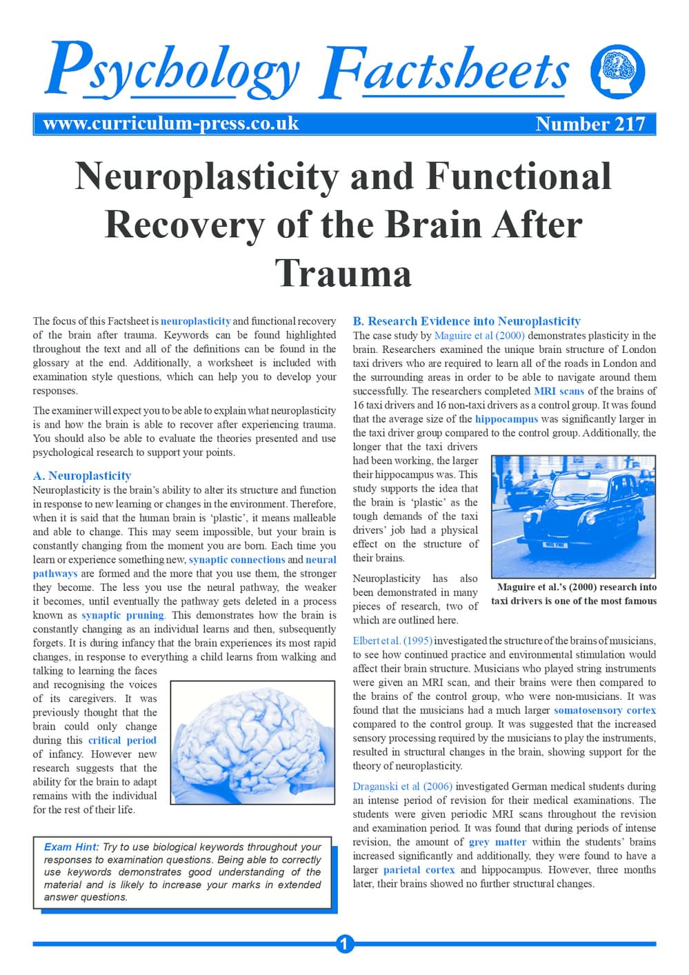 217 Neuroplasticity And Functional Recovery