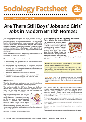 221 Are There Still Boys Jobs and Girls Jobs in Modern British Homes