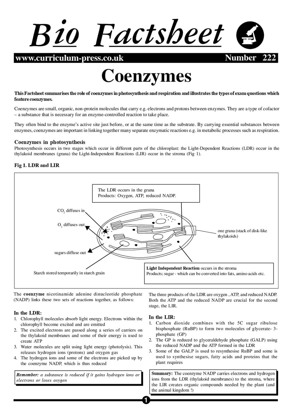 222 Coenzymes