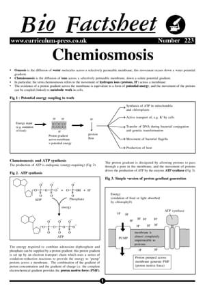 223 Chemiosmosis