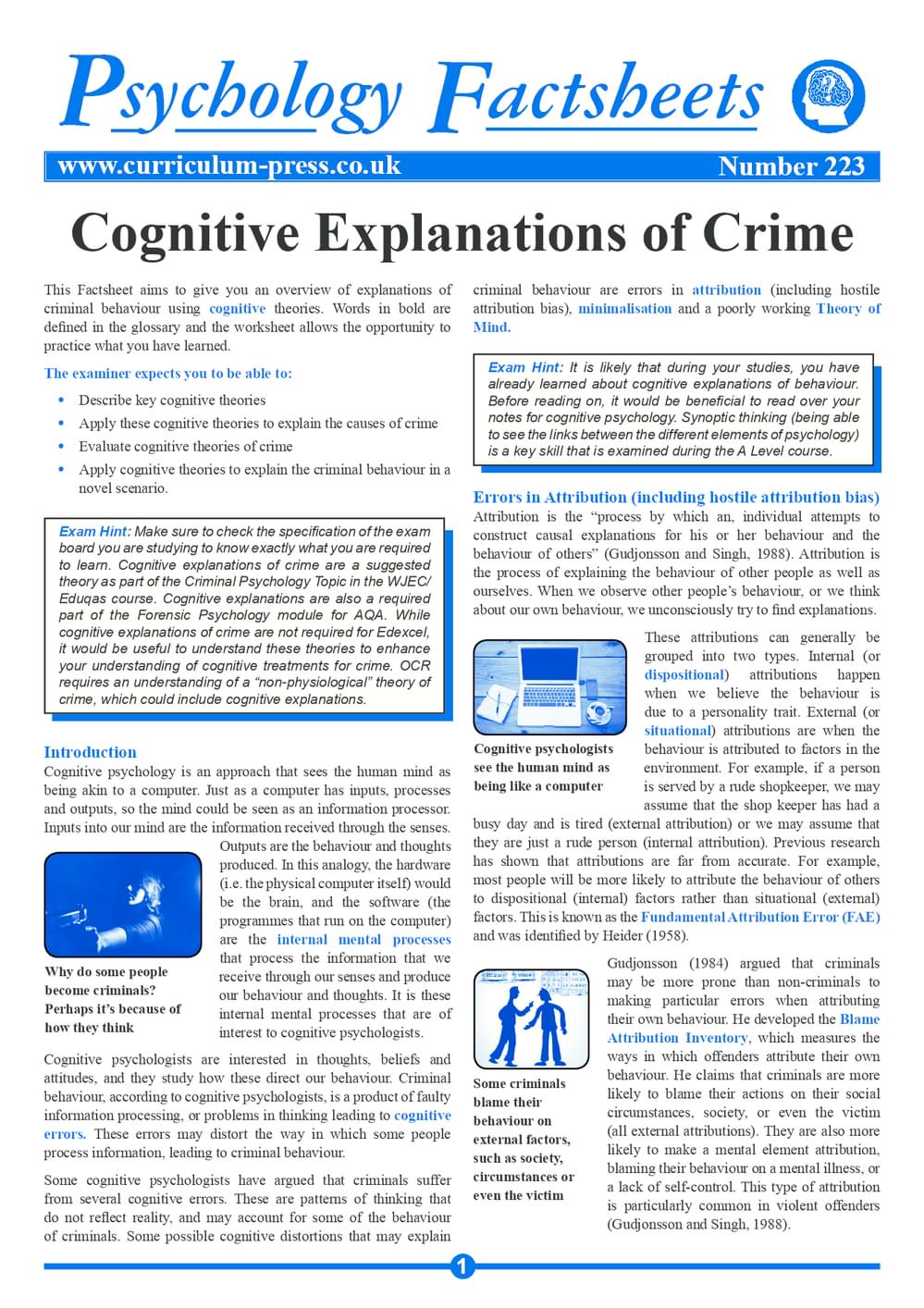 223 Cognitive Explanations Of Crime