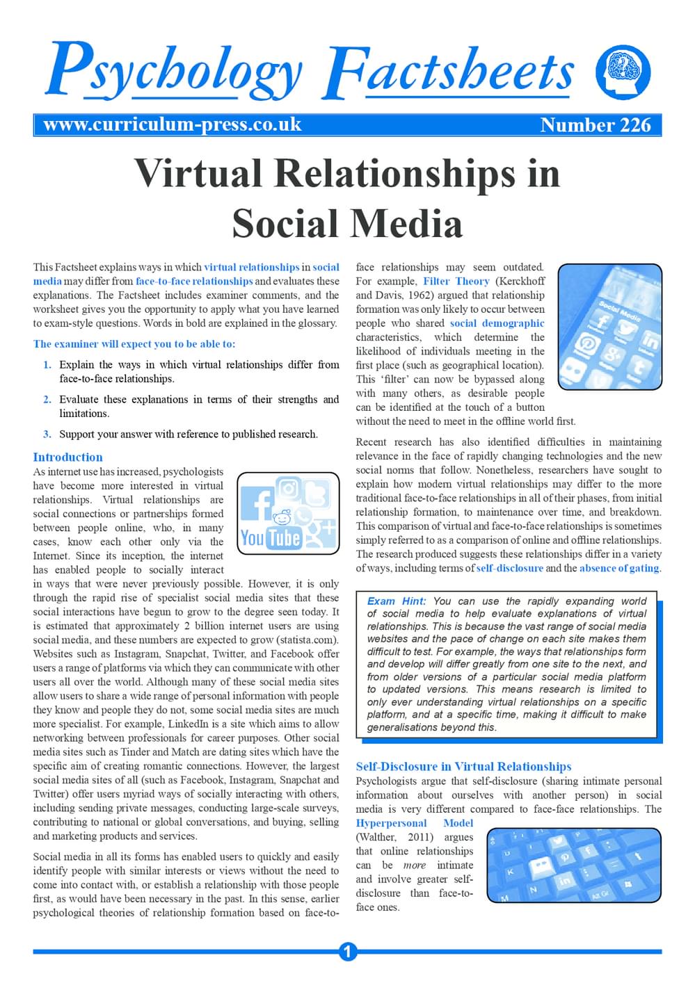 226 Virtual Relationships In Social Media