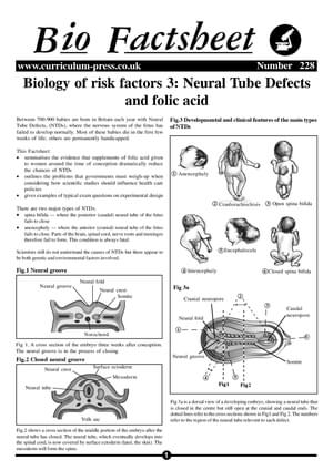 228 Risk Factors 3 Neural Tube Defects