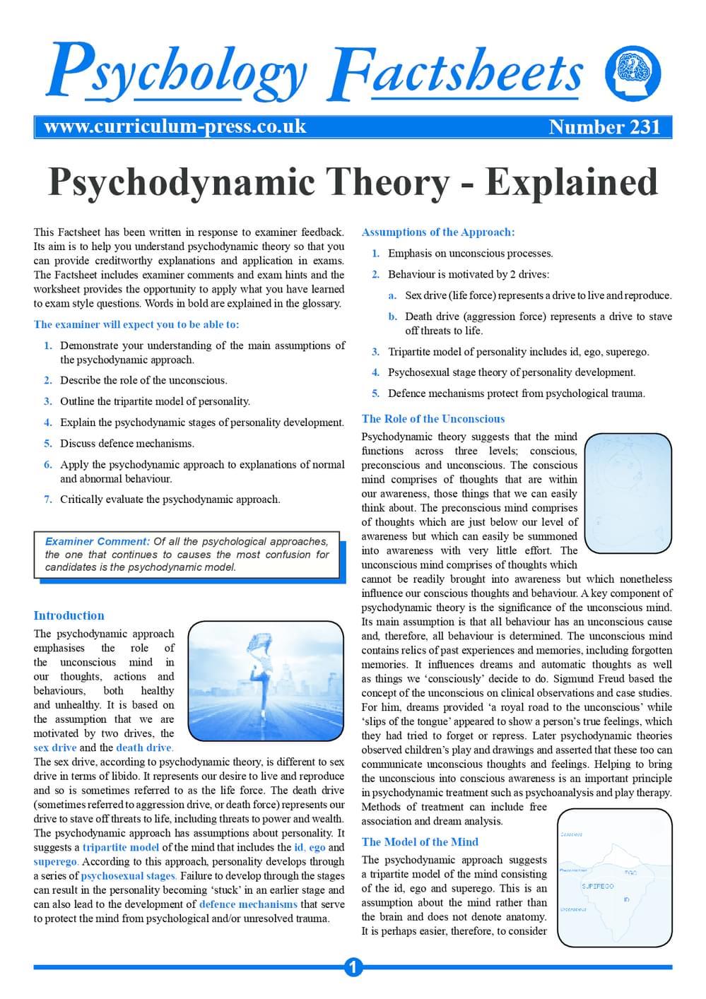 231 Psychodynamic Theory Explained
