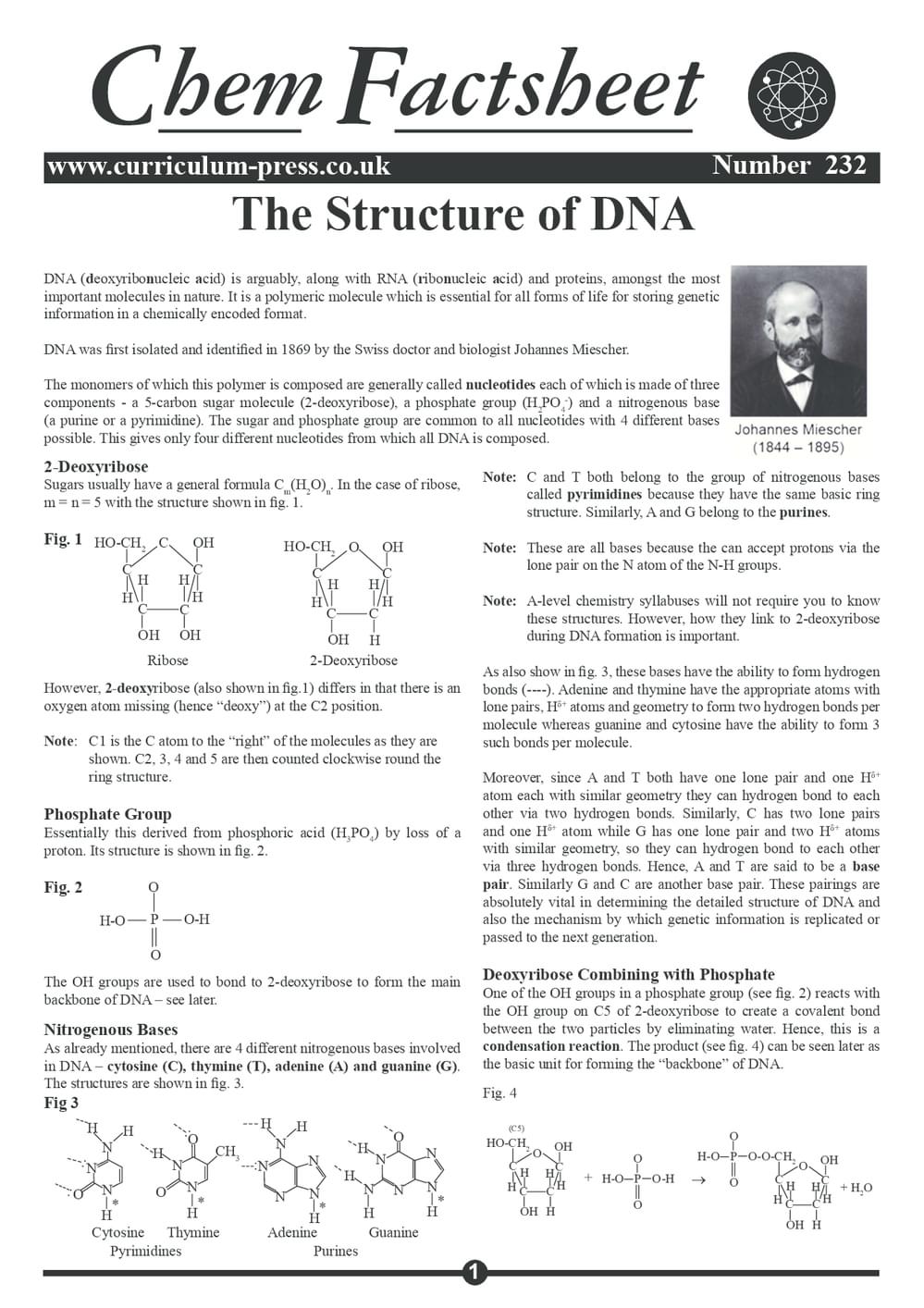 232 Dna Structure