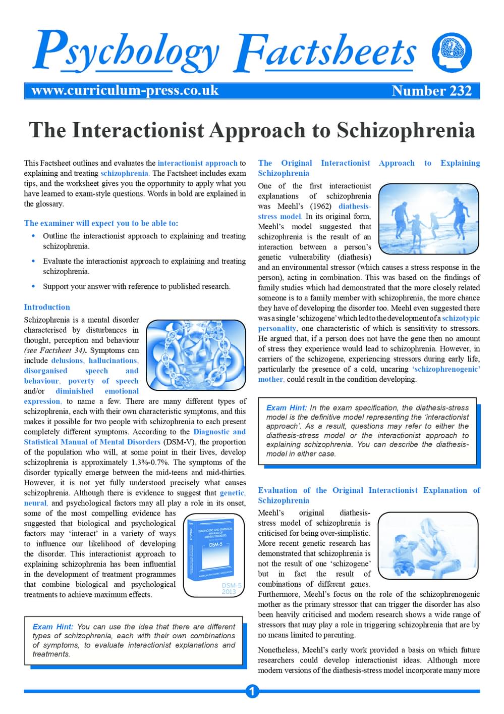 232 The Interactionist Approach To Schizophrenia