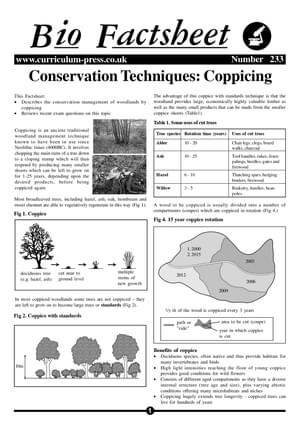 Coppicing Method Conservation Techniques: Coppicing - Curriculum Press