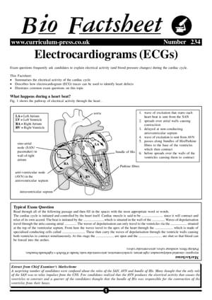234 Electrocardio