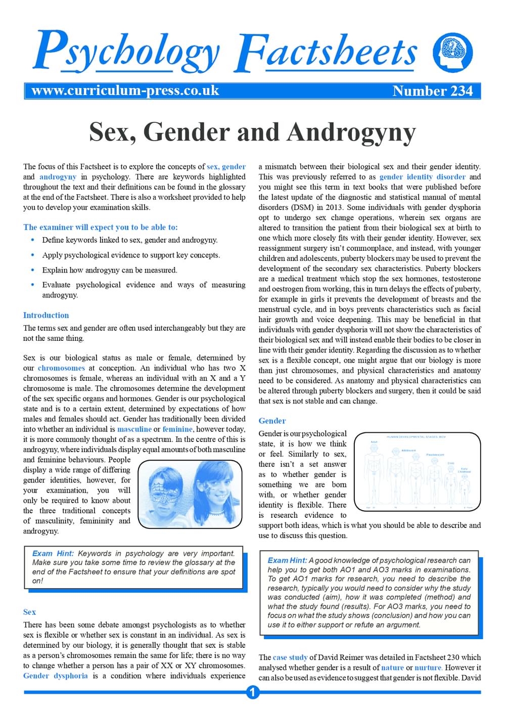 234 Sex Gender And Androgyny V2