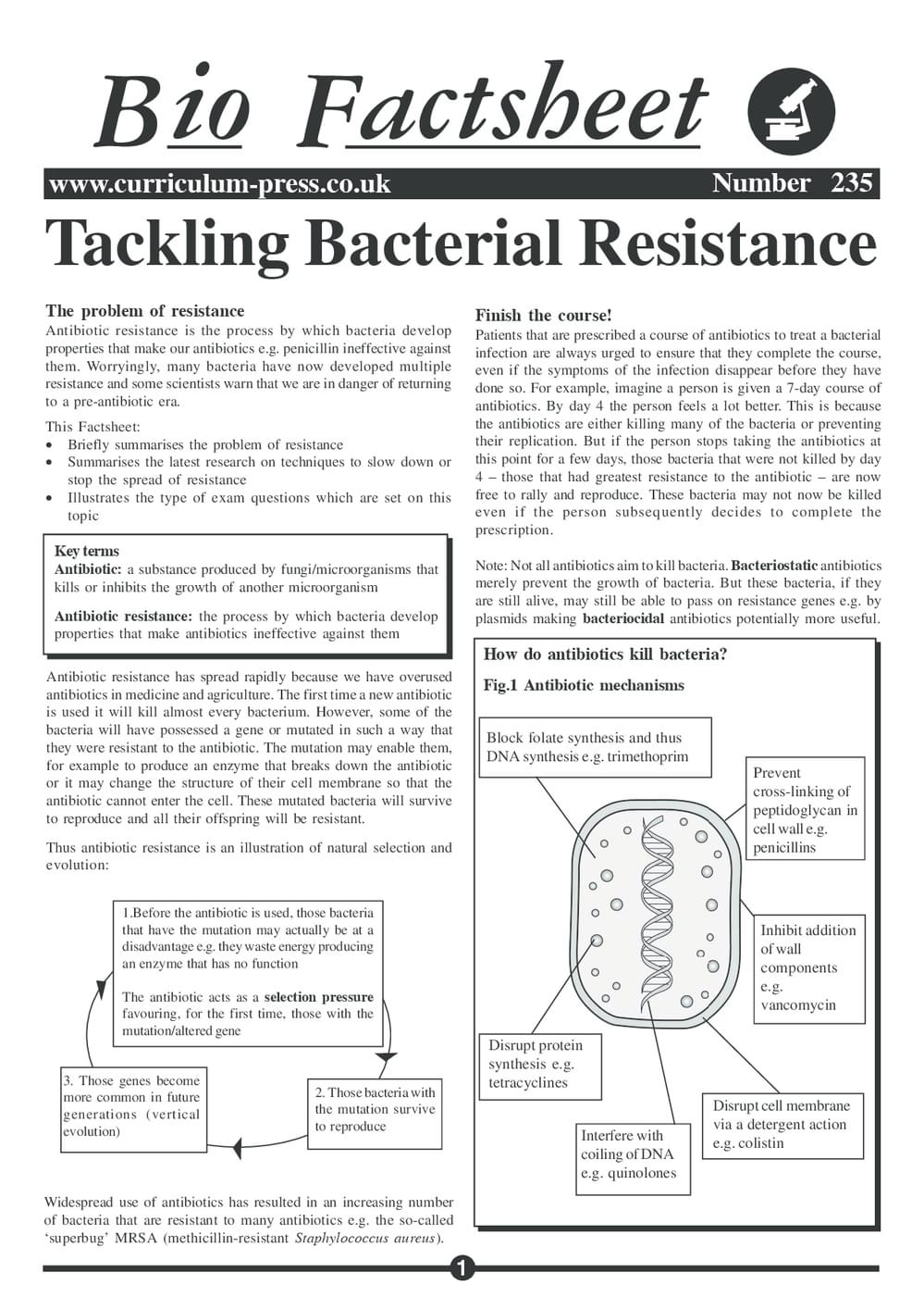 235 Bacterial Resistance