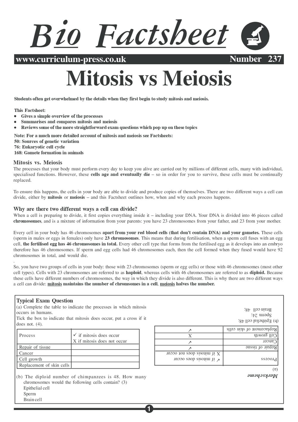 237 Mitosis Vs Meiosis