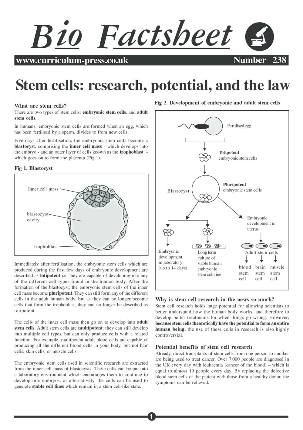 238 Stem Cells