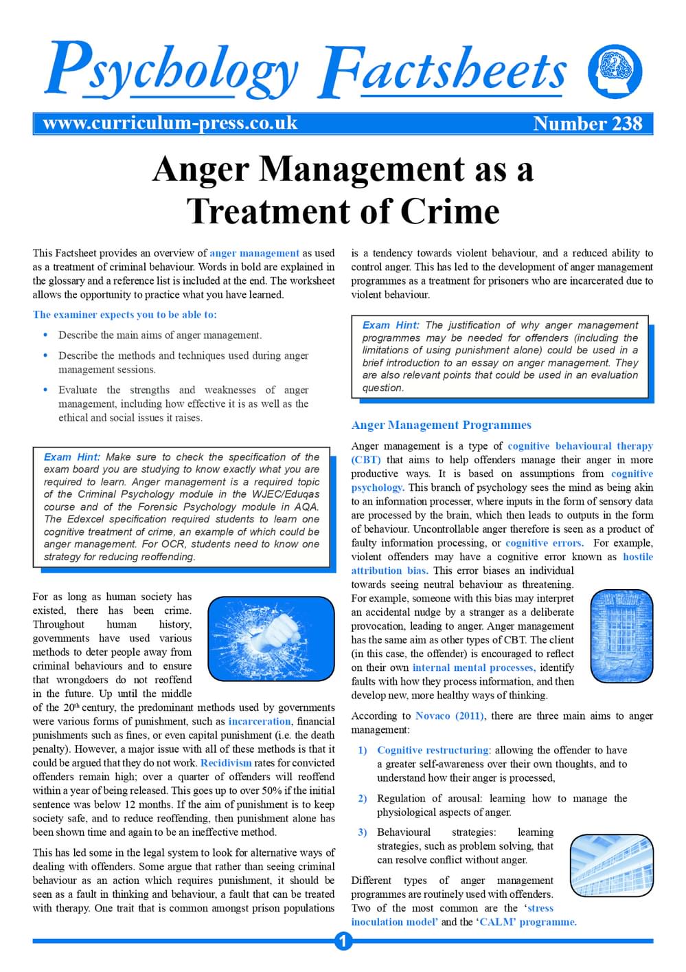 238 Anger Management As A Treatment Of Crime V2