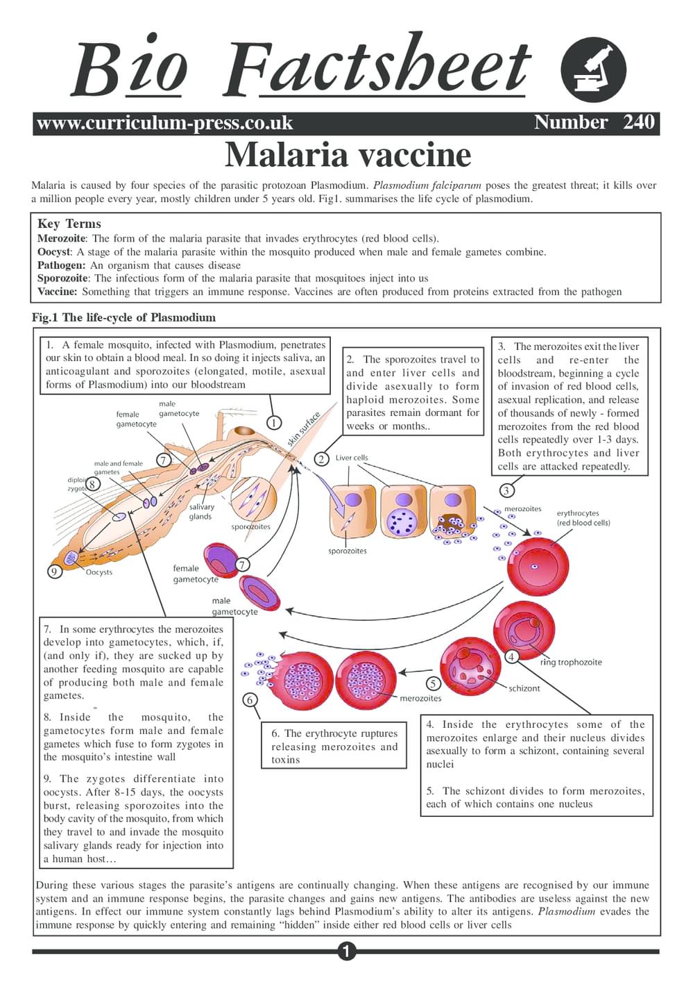 240 Malaria Vaccine