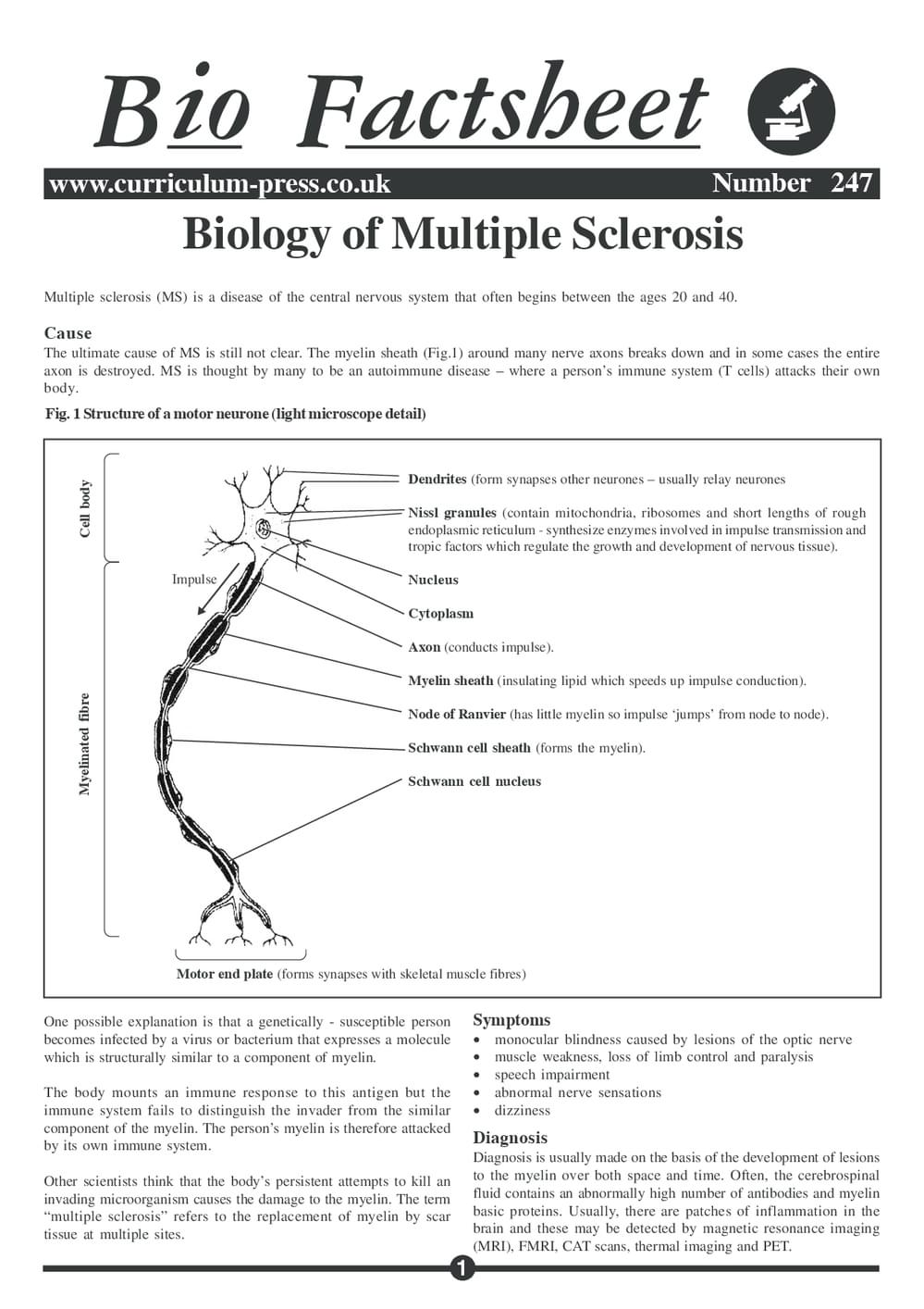 247 Biology Of Multiple Sclerosis