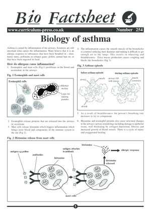 254 Bio Of Asthma