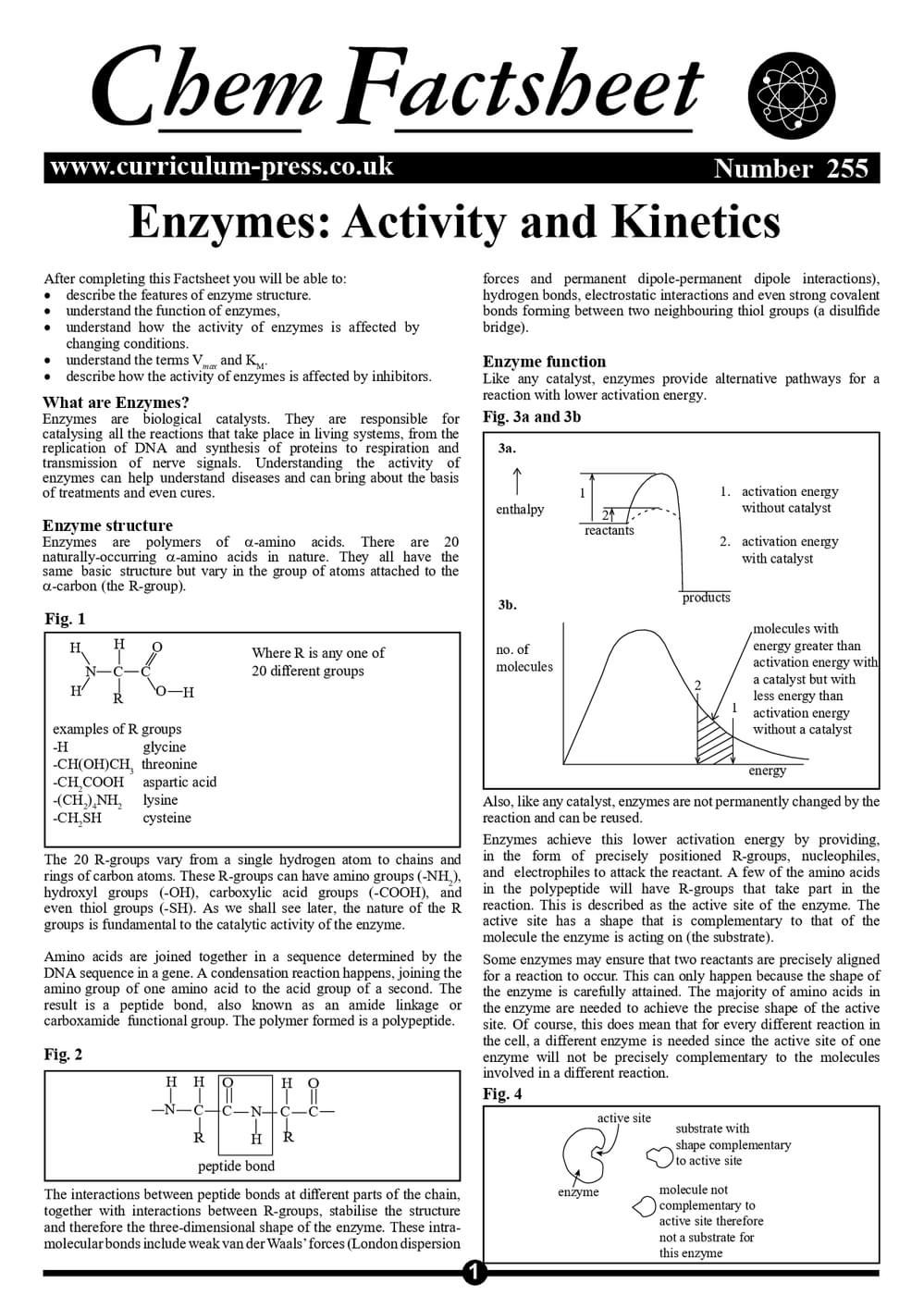 Enzyme Kinetics Chart.pdf Enzymes: Activity and Kinetics - Curriculum Press