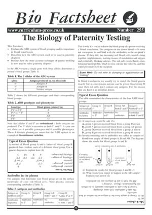 255 Paternity Testing