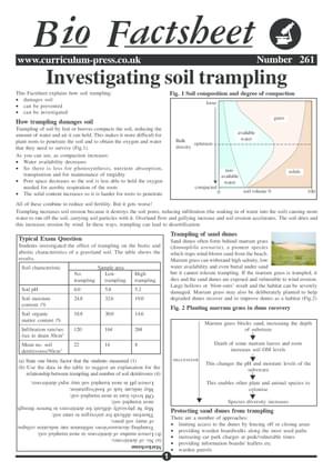 261 Soil Trampling